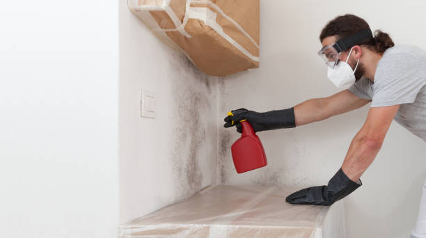 Professional Crawl Space Mold Remediation technician working in West Islip, NY
