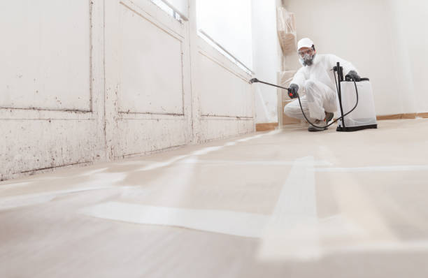 24/7 Emergency Crawl Space Mold Remediation experts in West Islip, NY